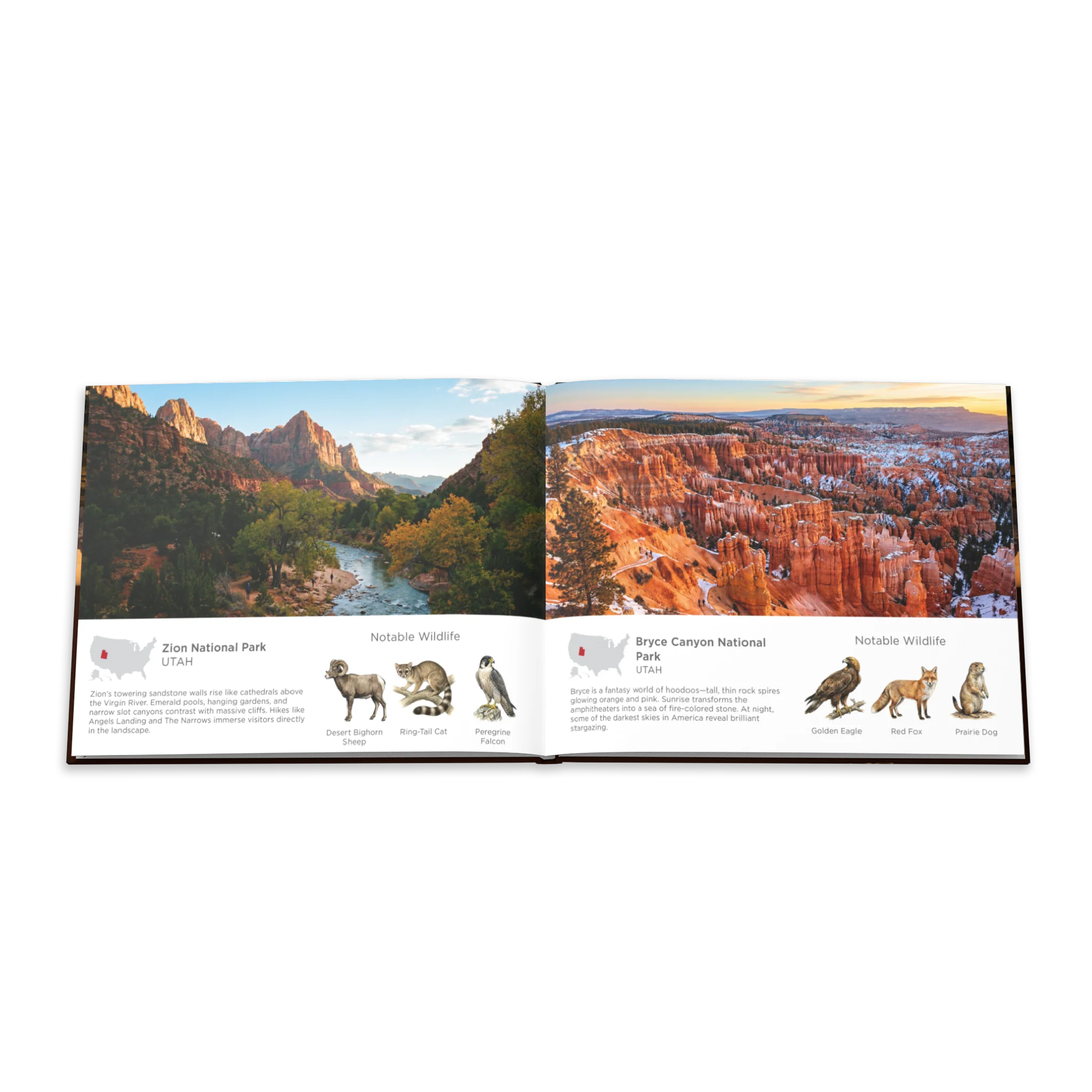 America's National Parks Hardcover Coffee Table Book - Image 16